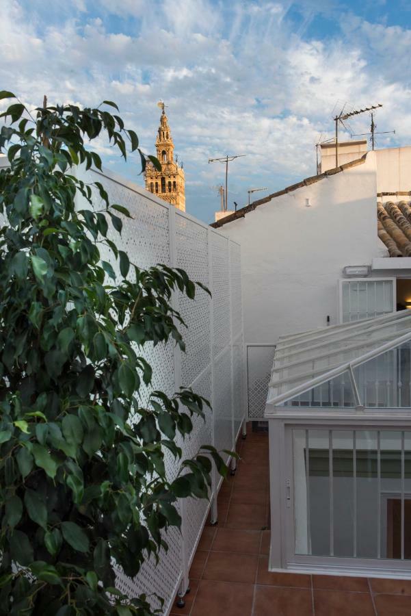 Apartamento Centriko Quintero *